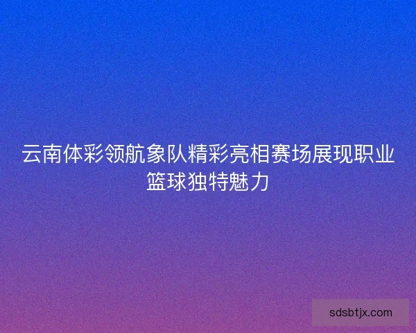 云南体彩领航象队精彩亮相赛场展现职业篮球独特魅力